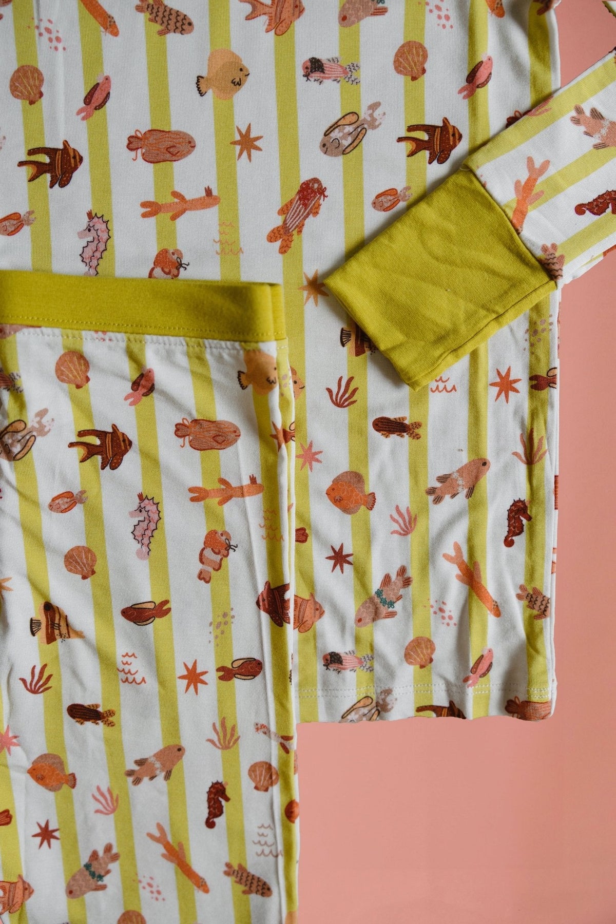 Fancy Fins Two Piece Short Set