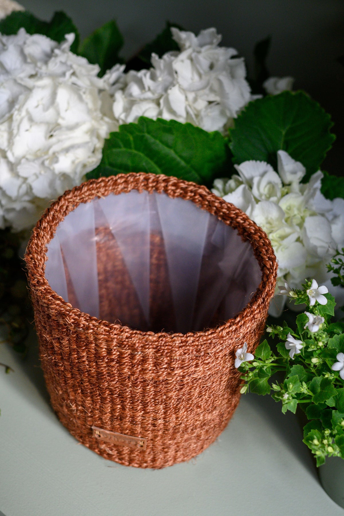 Others Brown and Red Flower Pot
