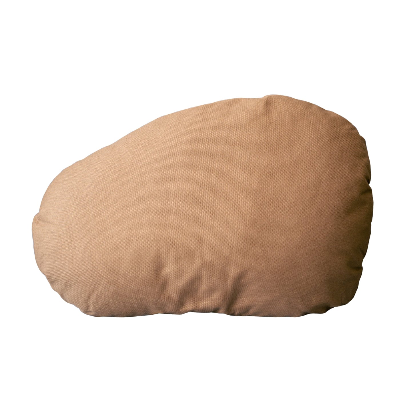 The Large Wobble in Canvas