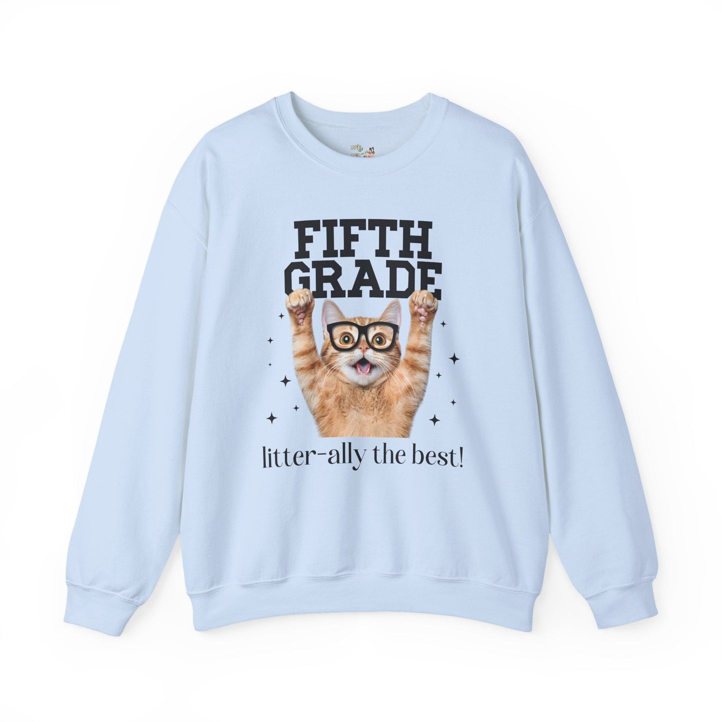 Fifth Grade Teacher Cat