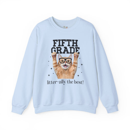 Fifth Grade Teacher Cat