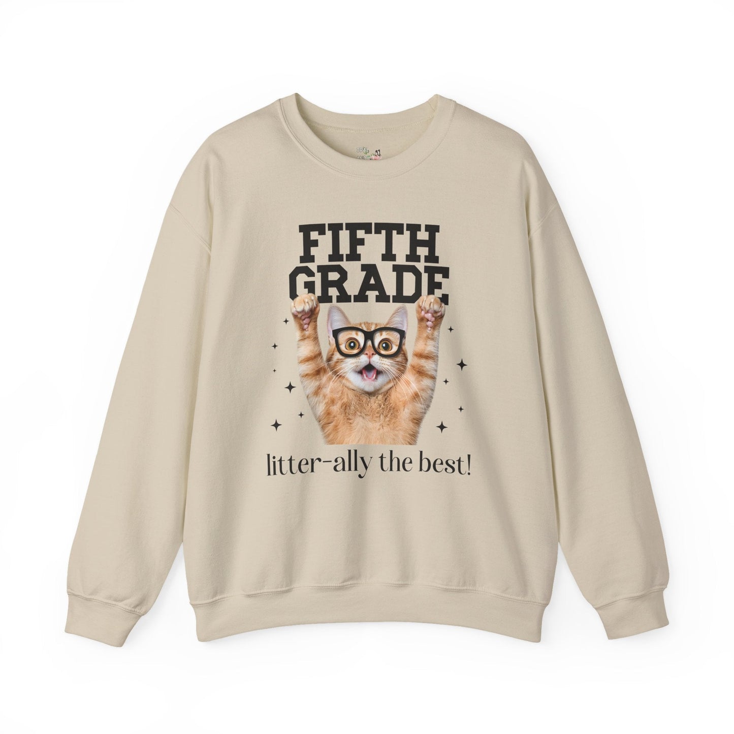 Fifth Grade Teacher Cat
