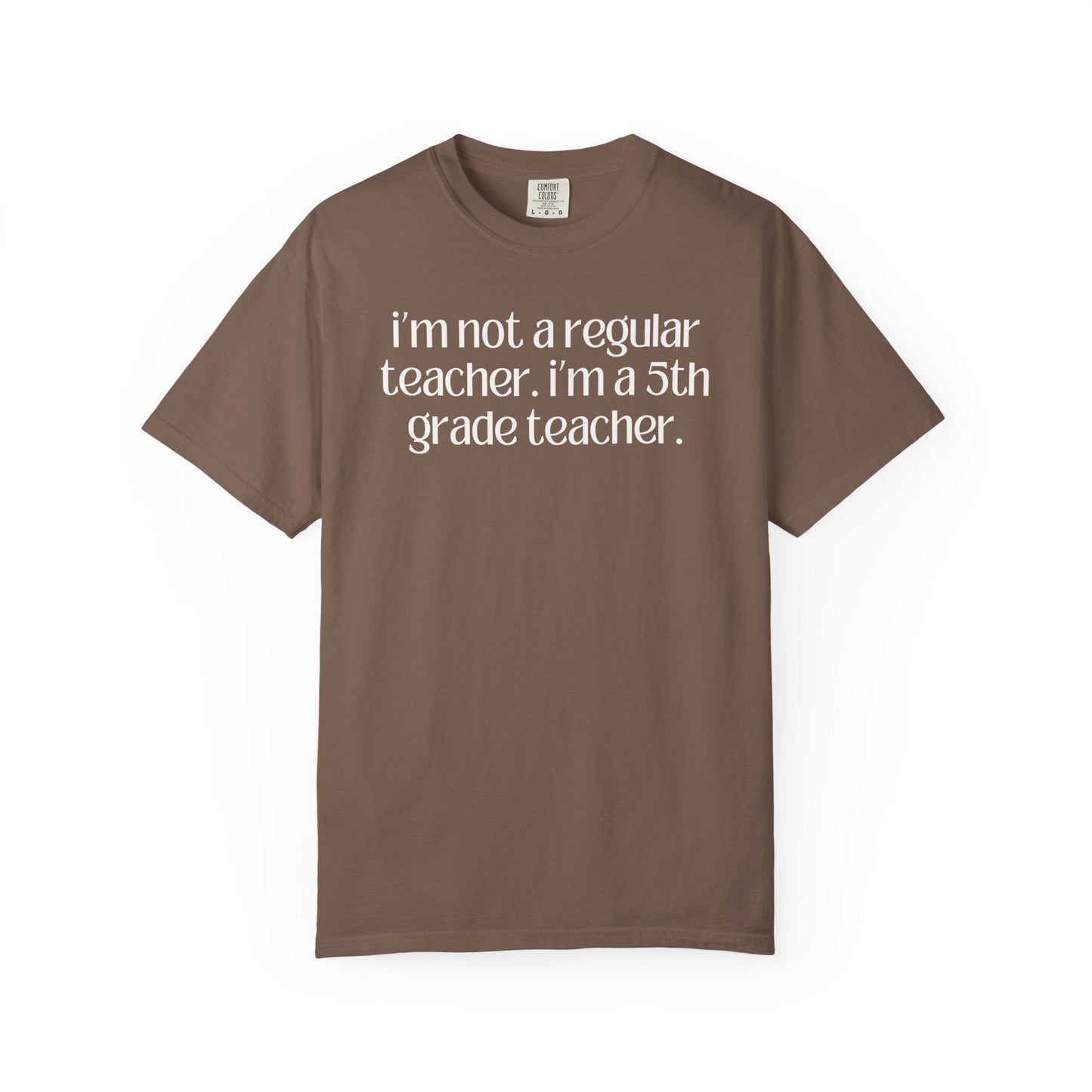 Fifth Grade Teacher
