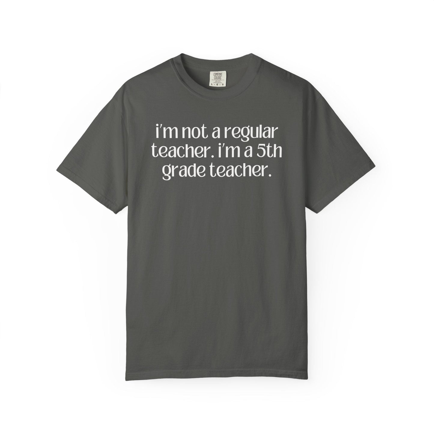 Fifth Grade Teacher
