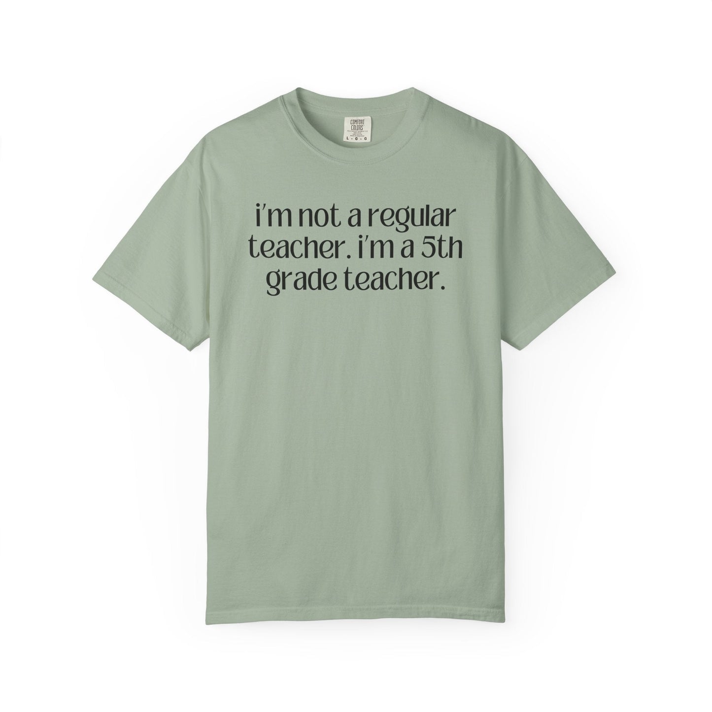 Fifth Grade Teacher