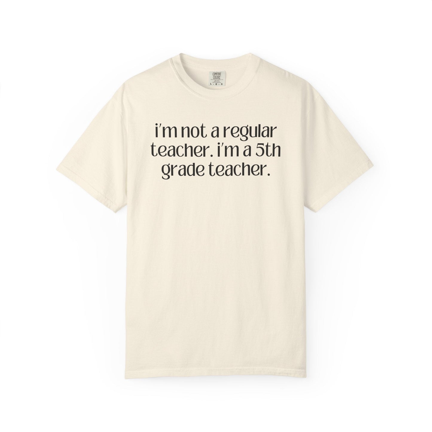 Fifth Grade Teacher