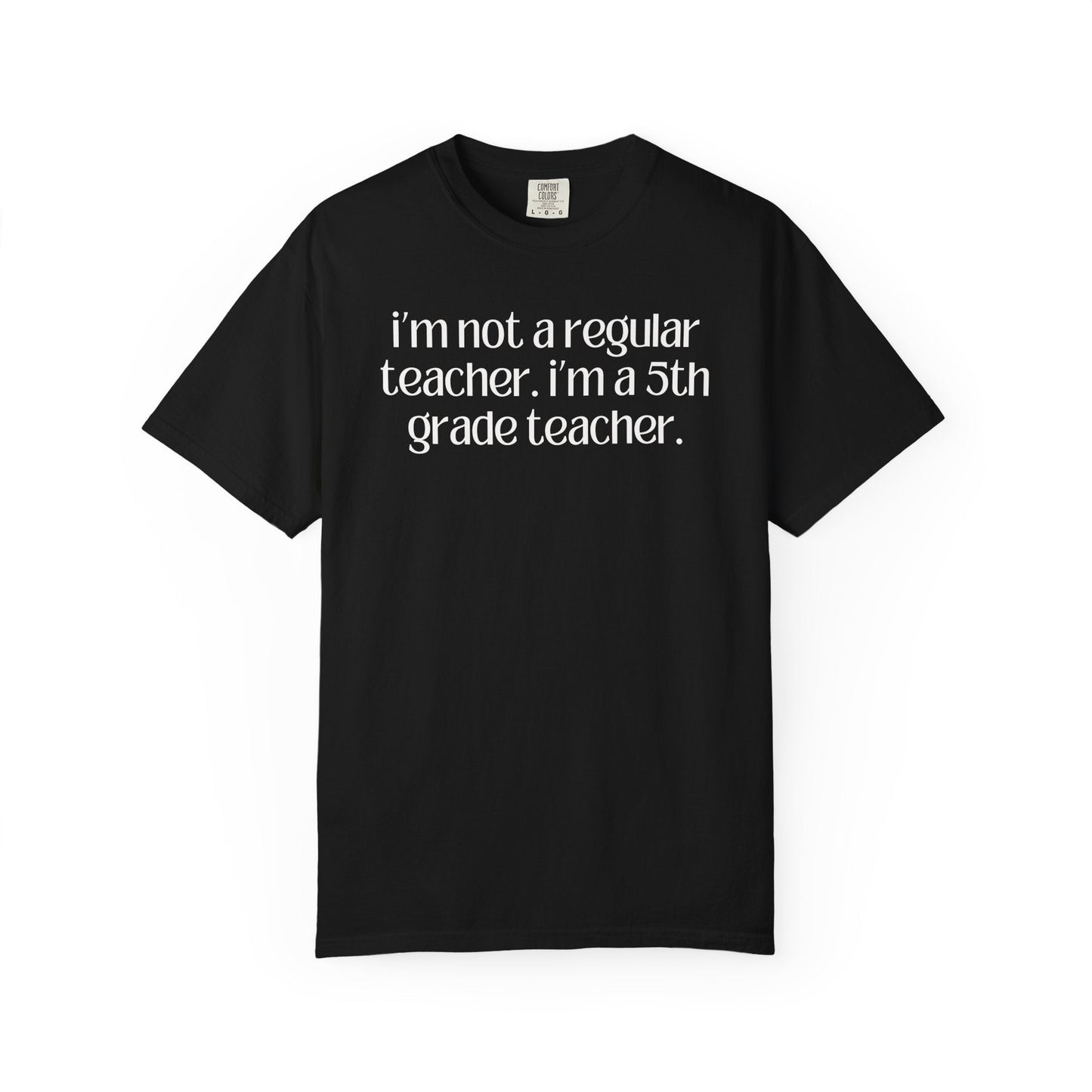 Fifth Grade Teacher