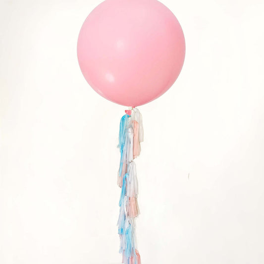 Pastel Pink and Blue Tassel Tail