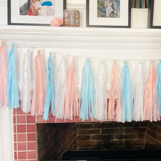 Pastel Pink and Blue Tassel Tail