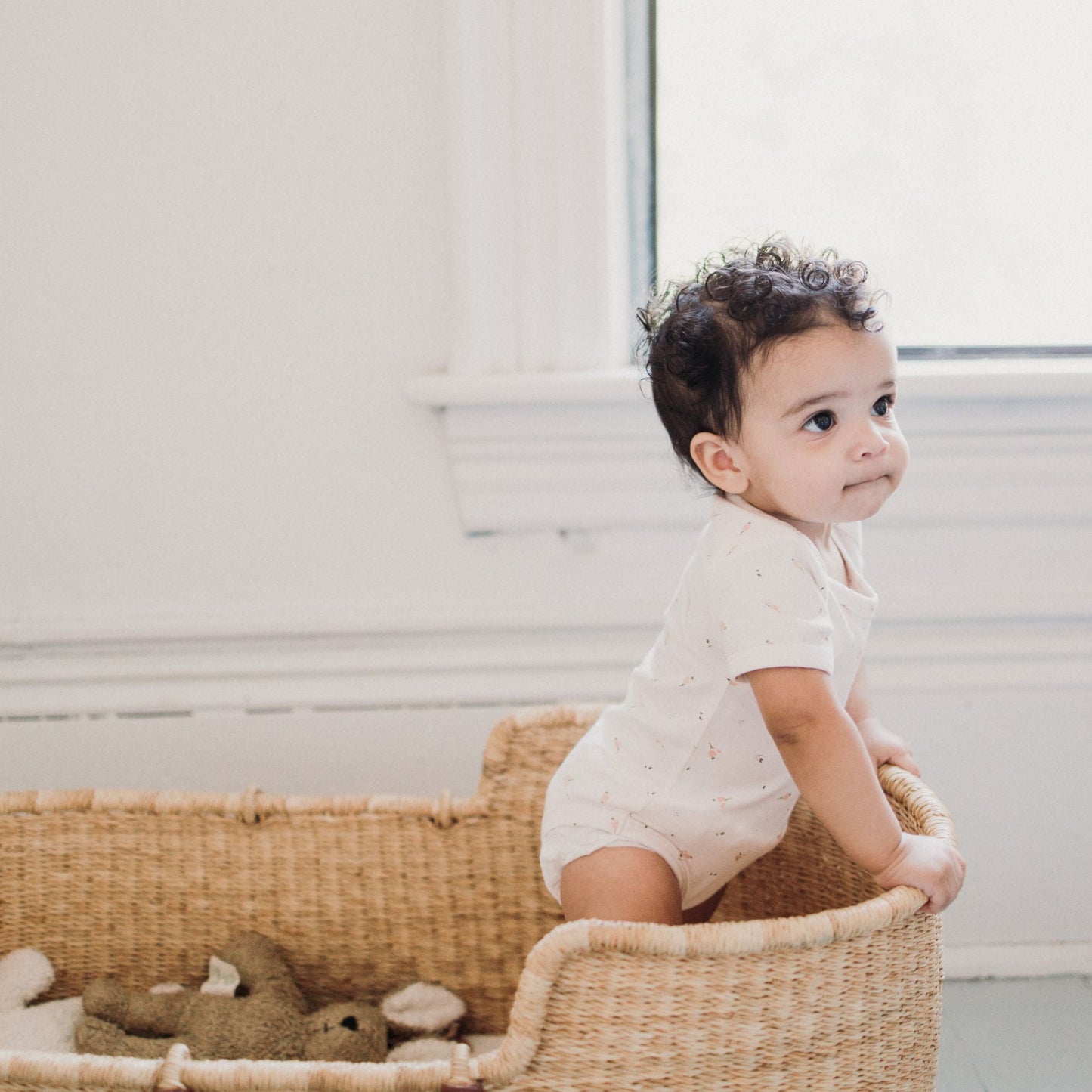 Baby Girl Short Sleeve Pack