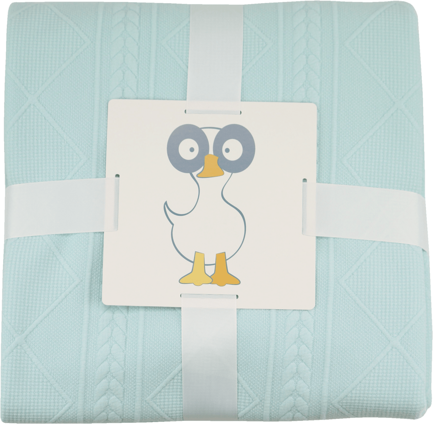 Mint 50" x 60" Full Size Knit Throw