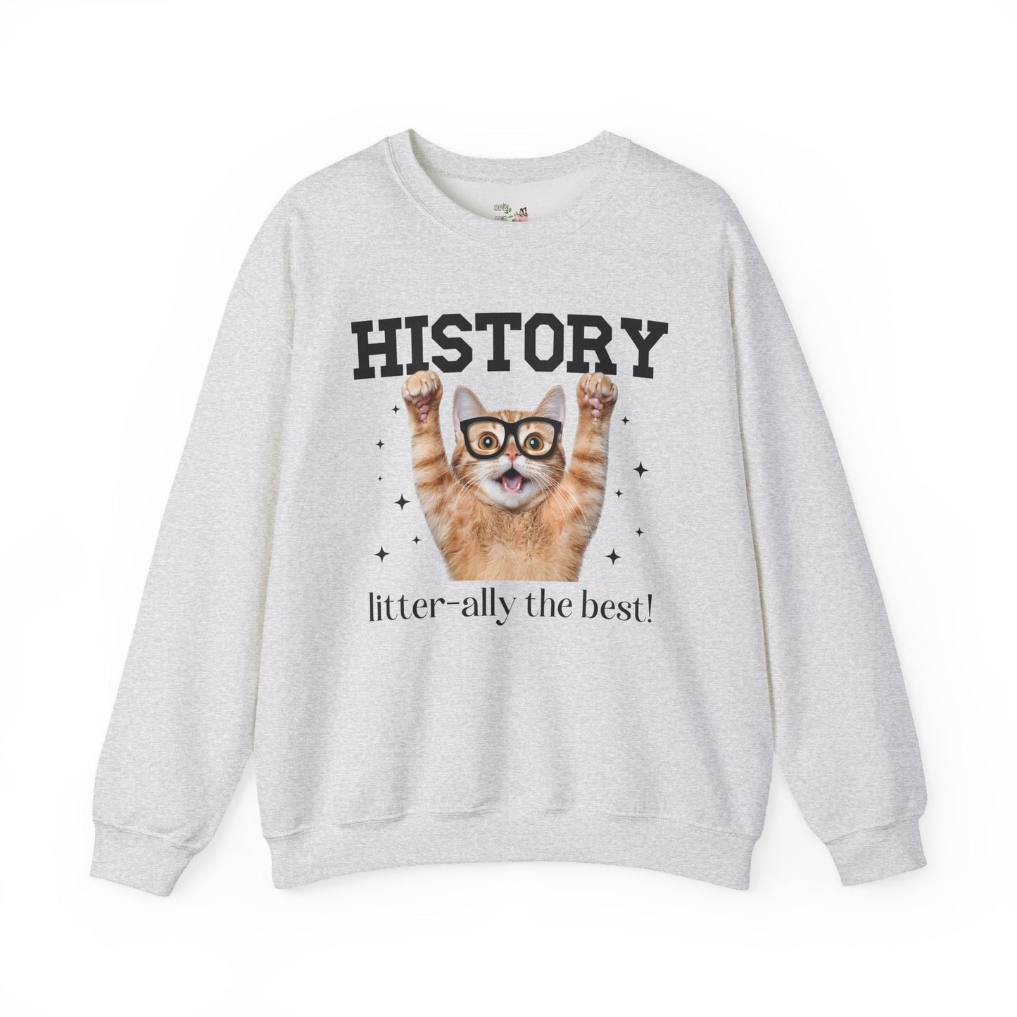 History Teacher Cat Lover