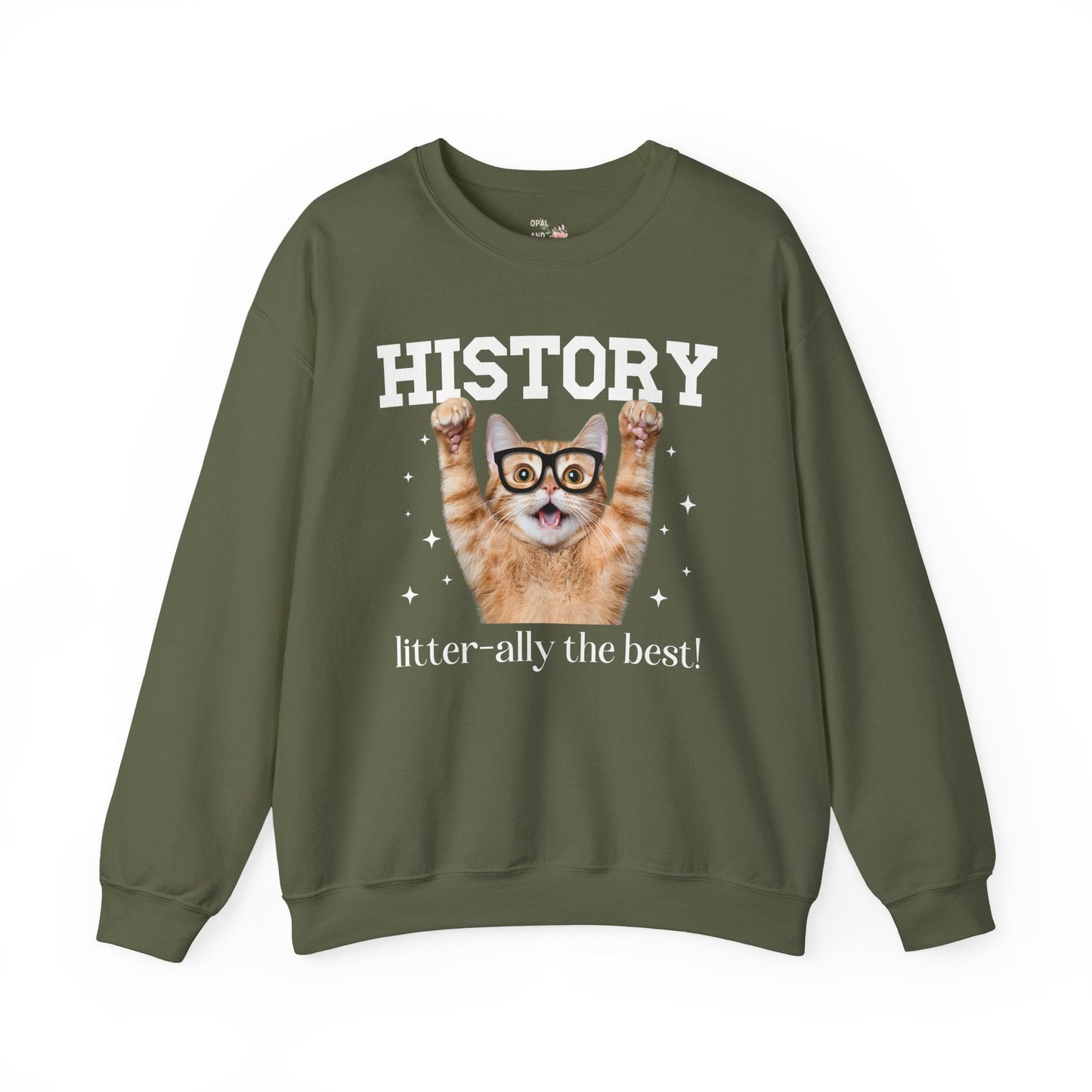 History Teacher Cat Lover