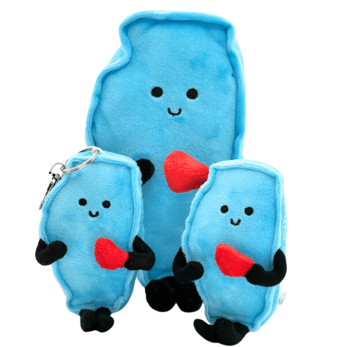 Illinois Stuffed State Plush – Collectible & Educational | Stuffed States USA
