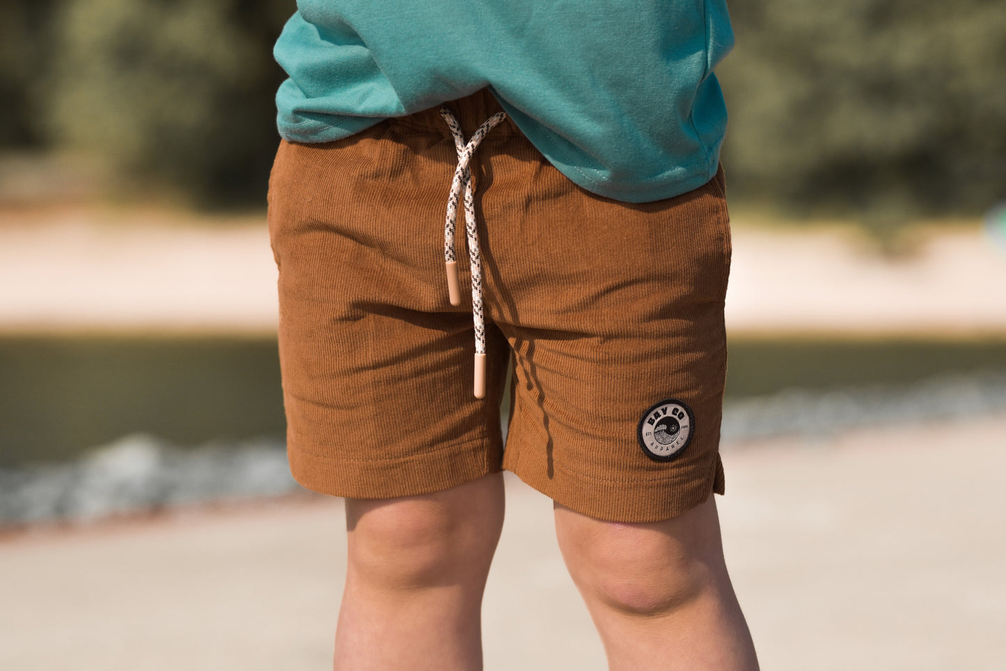 Camel Cord Shorts