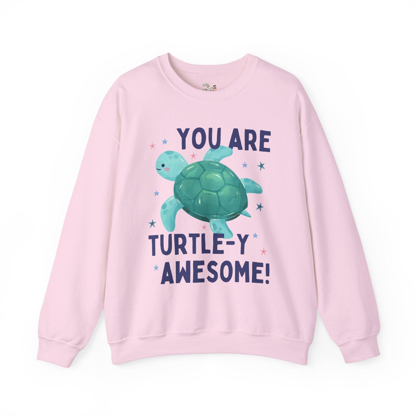 Turtle Teacher Sweatshirt