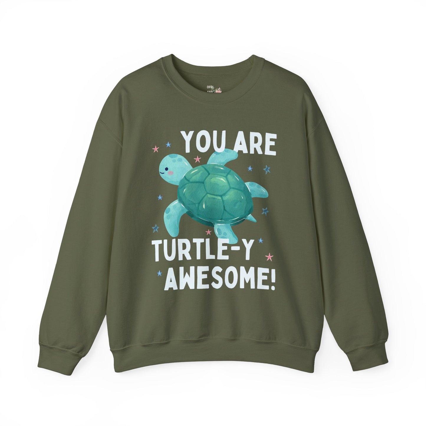 Turtle Teacher Sweatshirt