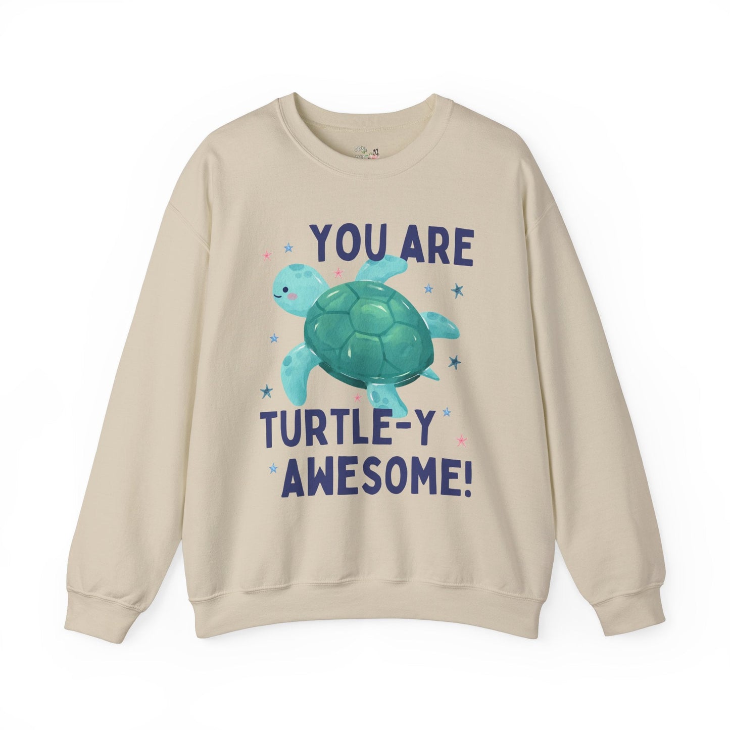 Turtle Teacher Sweatshirt