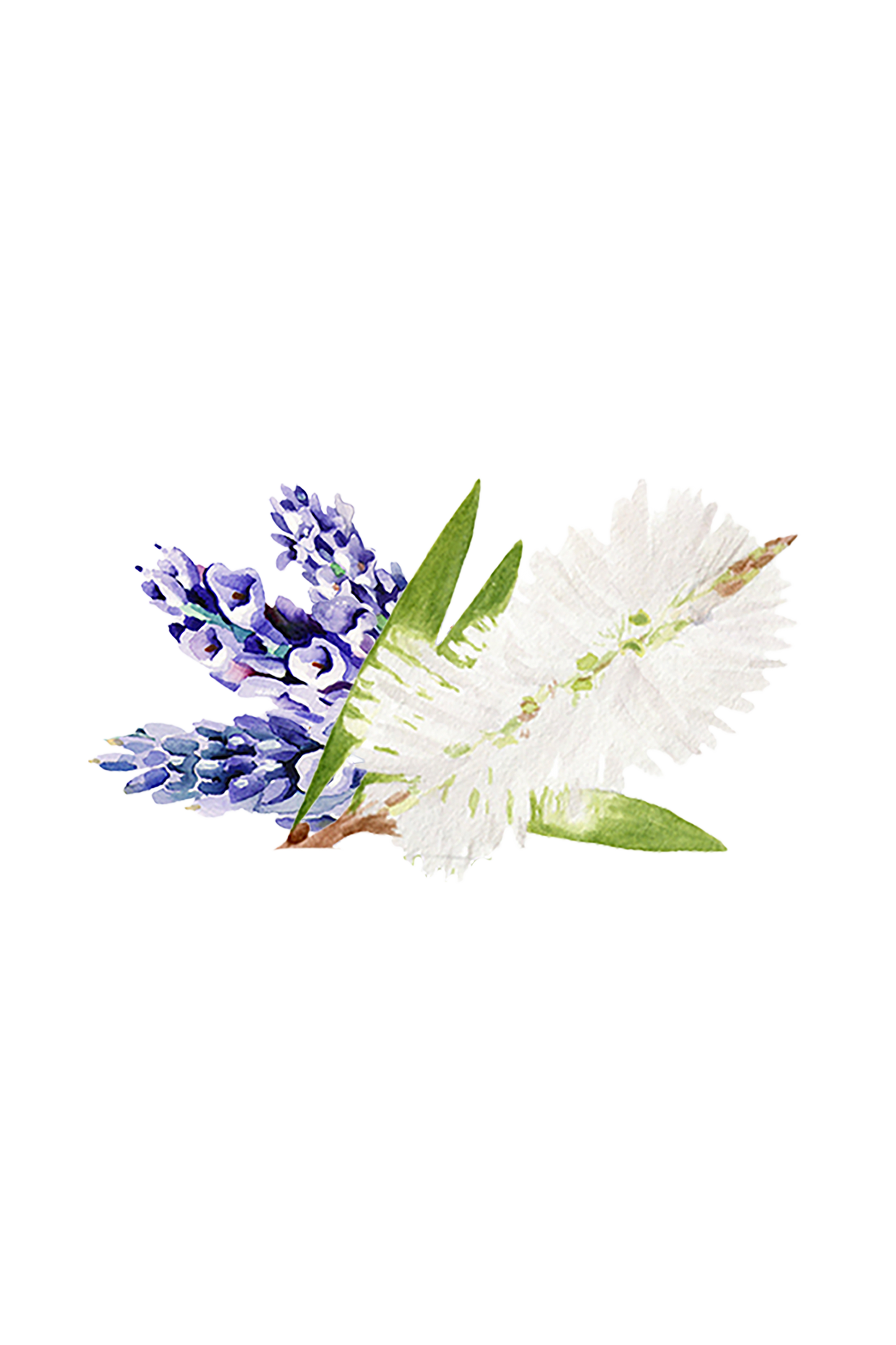 Coconut Conditioner | Lavender Tea Tree