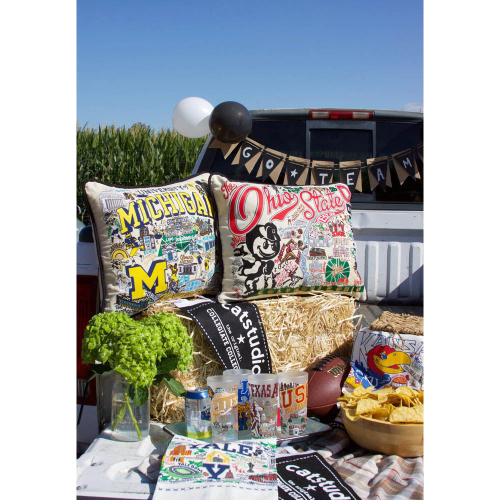 Michigan, University of Michigan Collegiate Embroidered Pillow by CatStudio