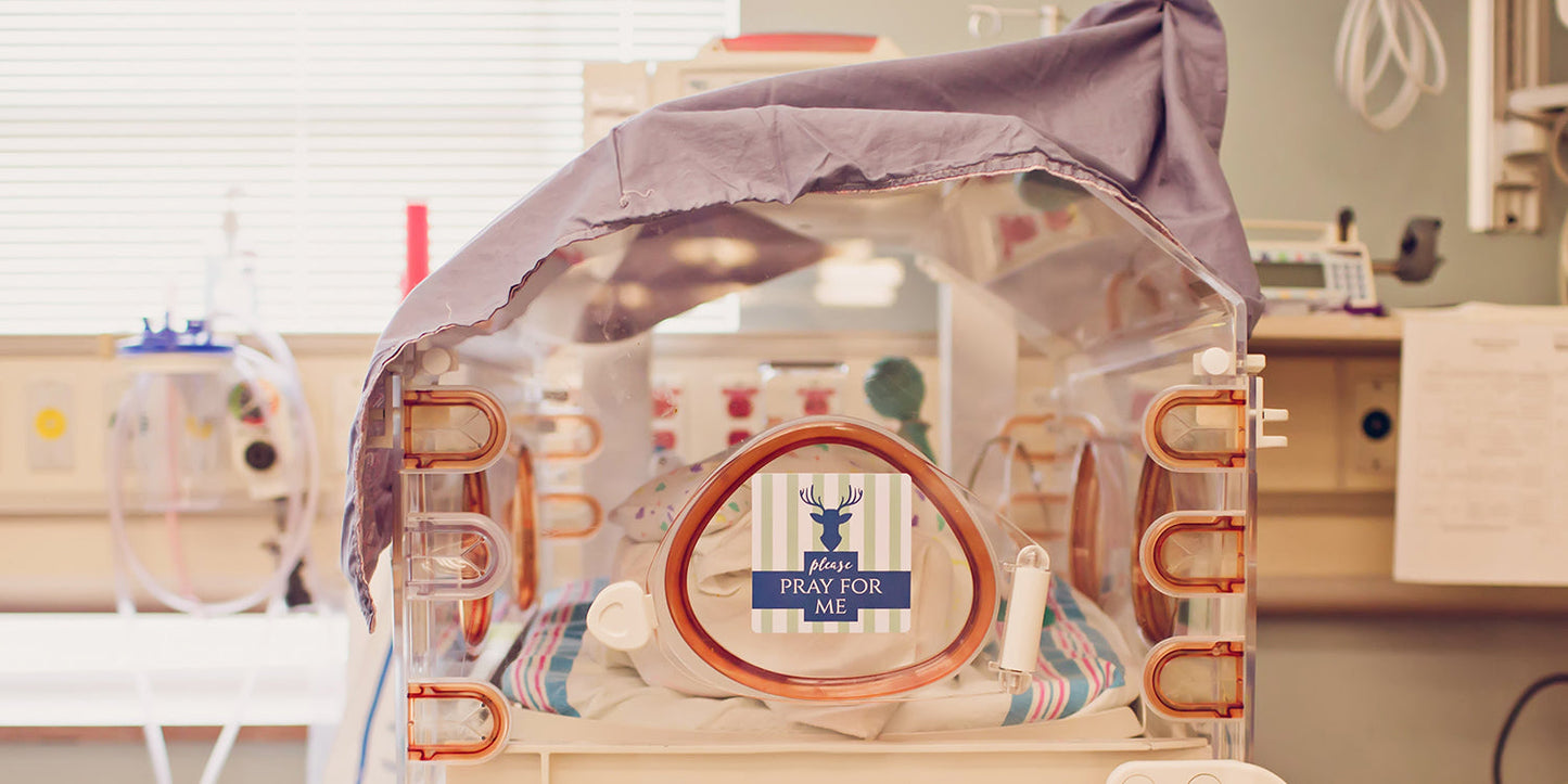 Boy Preemie Three Little Tots NICU Milestone Cards in Plastic