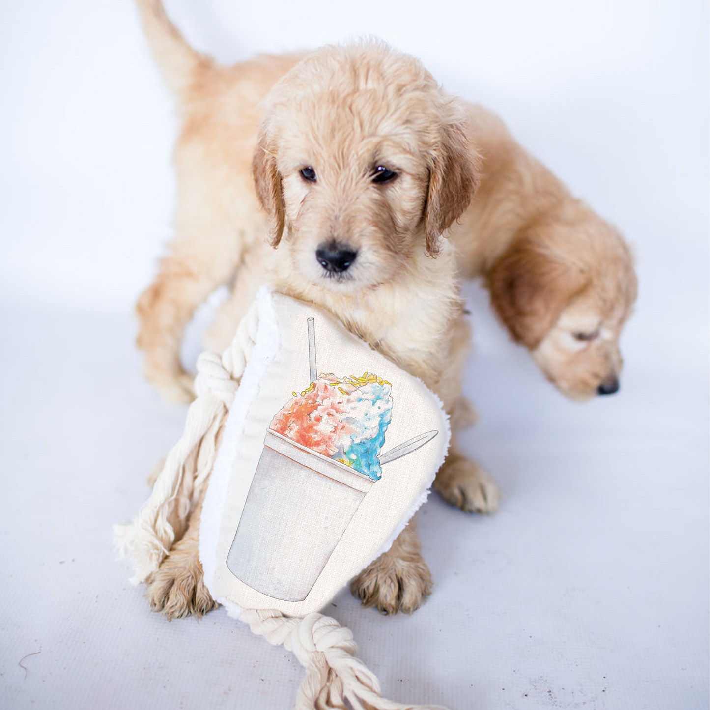 Snoball Dog Rope Toy