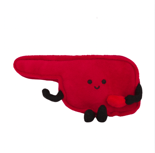 Oklahoma Stuffed State Magnet – Plush Magnet in Sooners