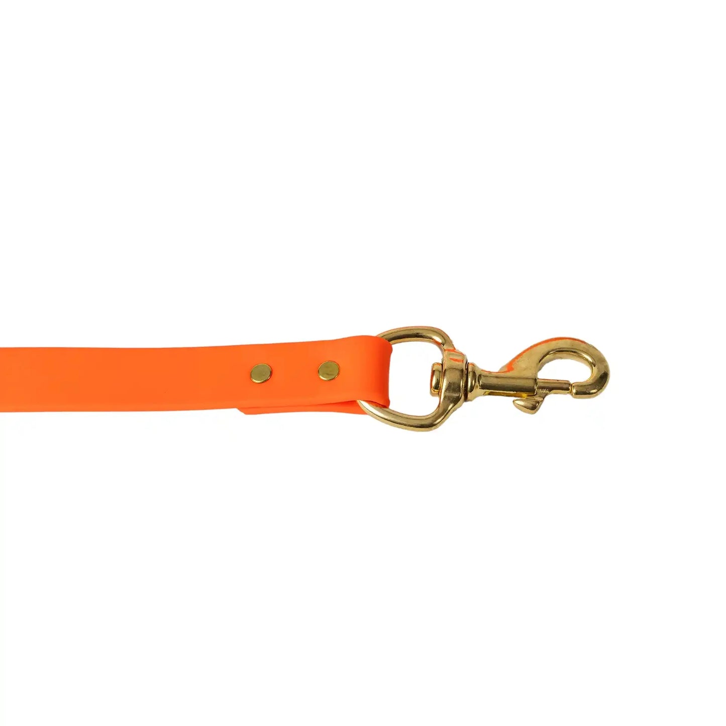 Barrows Dog Leash - Orange