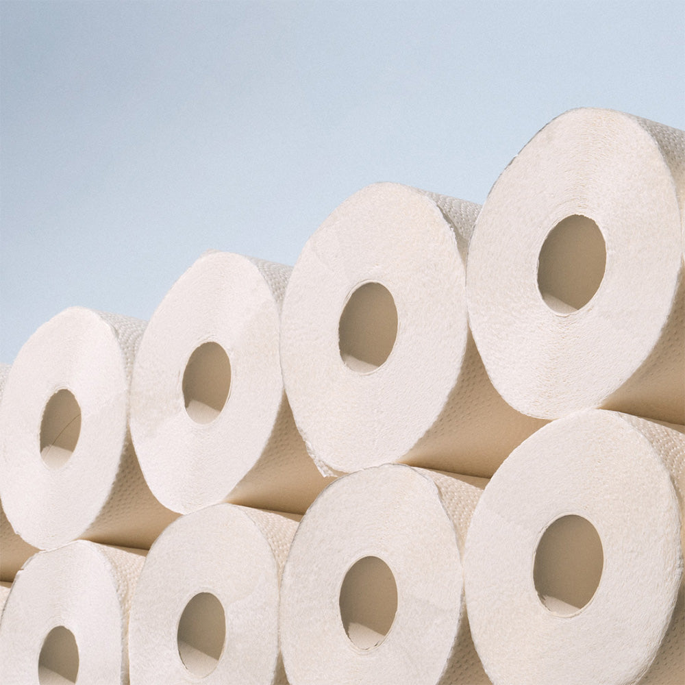 Tree Free Paper Towels (6 ct)