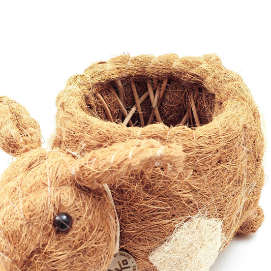 Pig Planter - Coco Coir Pots | LIKHÂ