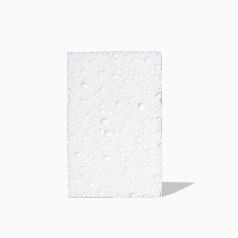 Scrubber Sponges (12 ct)