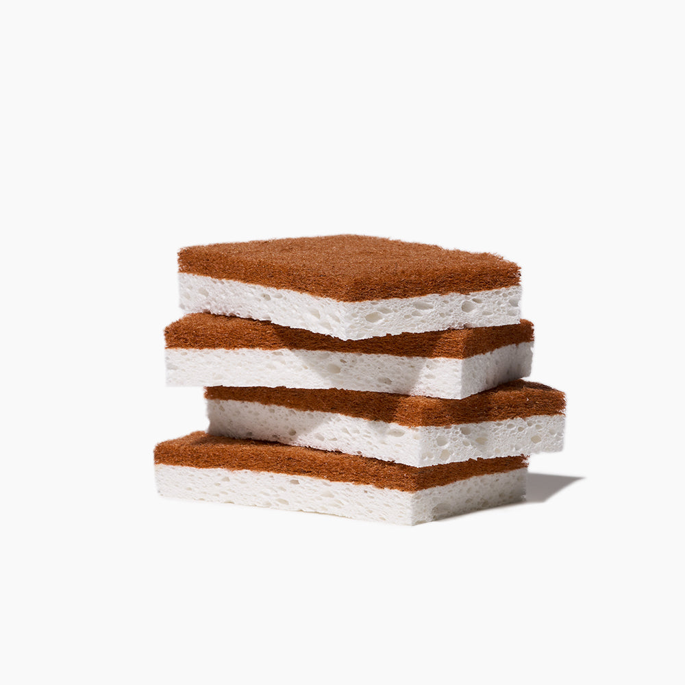 Scrubber Sponges (12 ct)