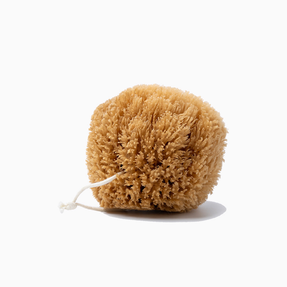Exfoliating Grass Sea Sponge