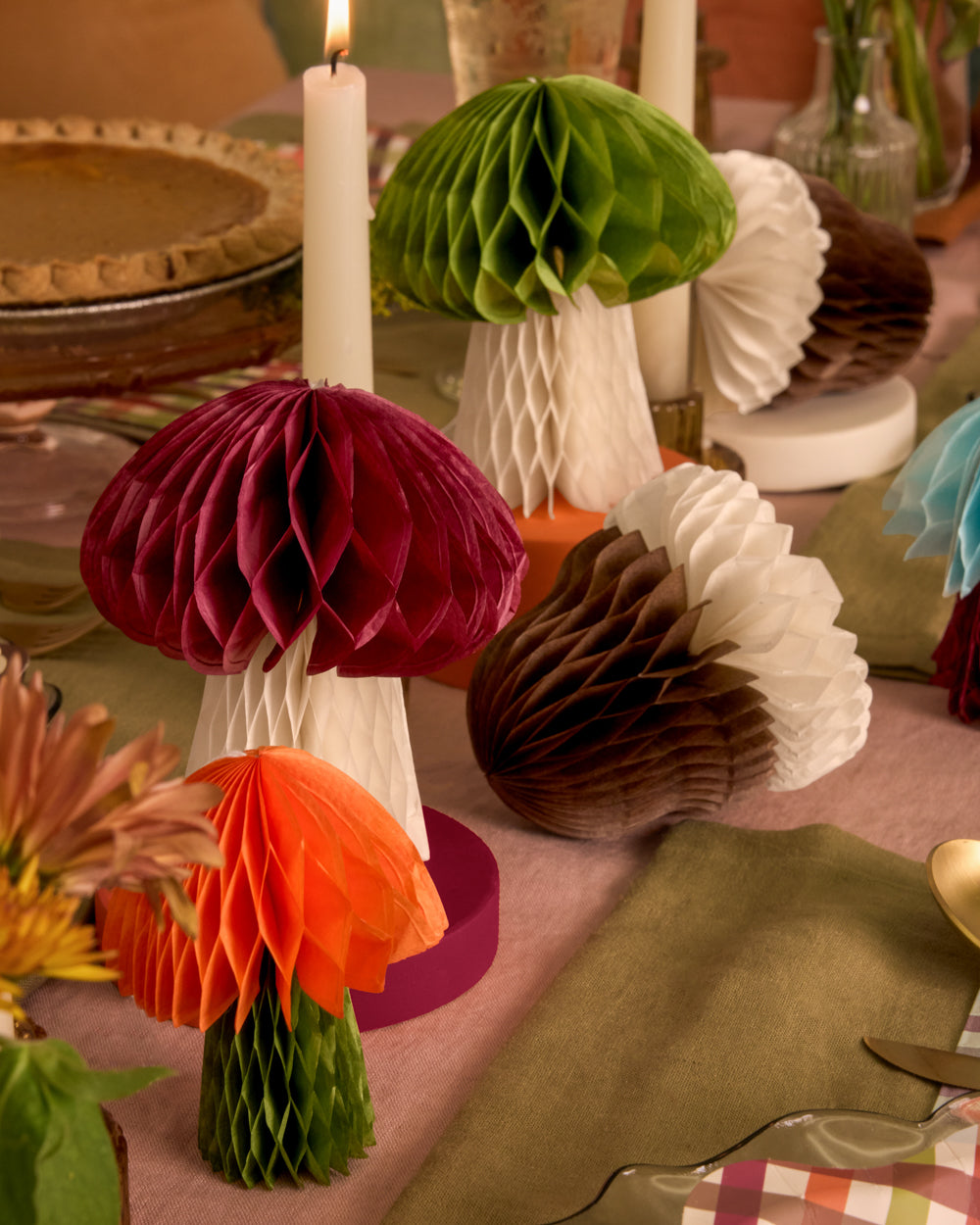 Fall Accordion Set - 6 paper accordions