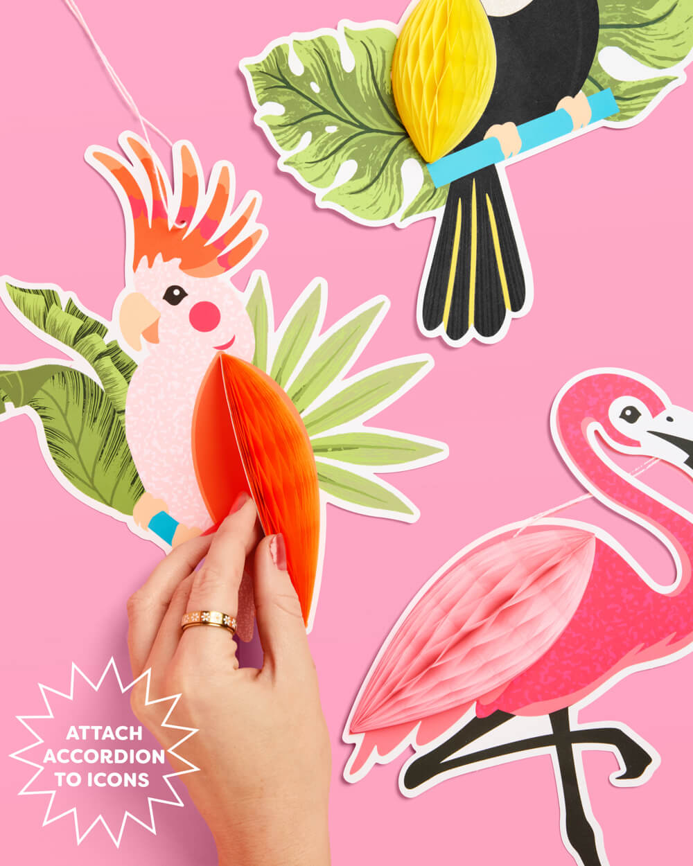 Tropical Accordions - tropical banner