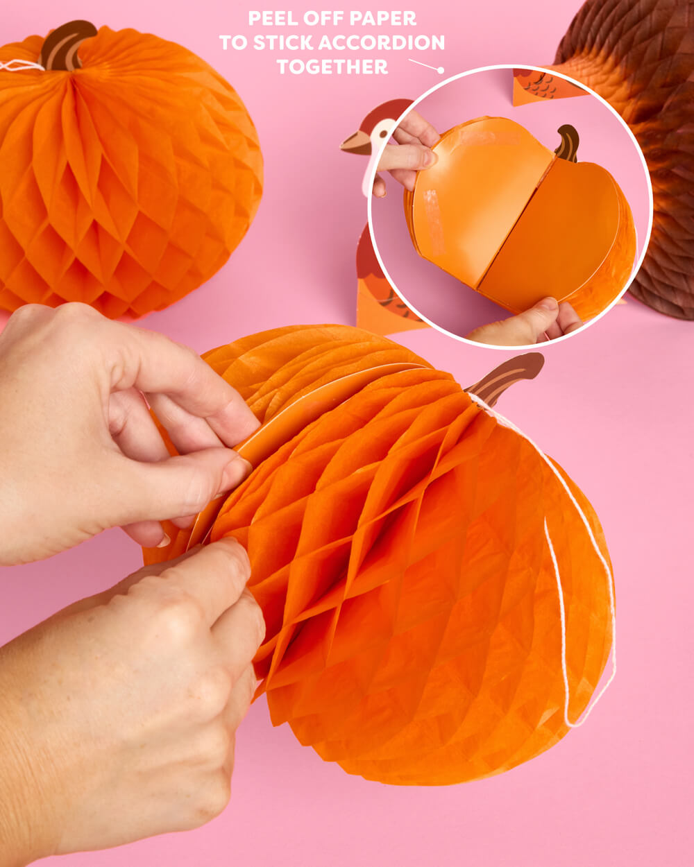 Turkey + Pumpkin Accordions - fall decor set
