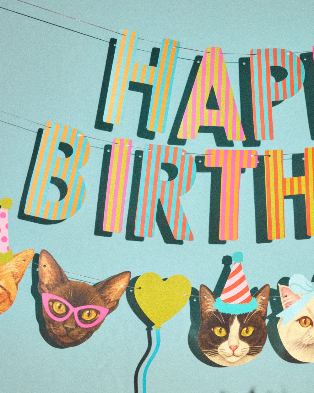 Crazy Cat Banner - really fun party banner