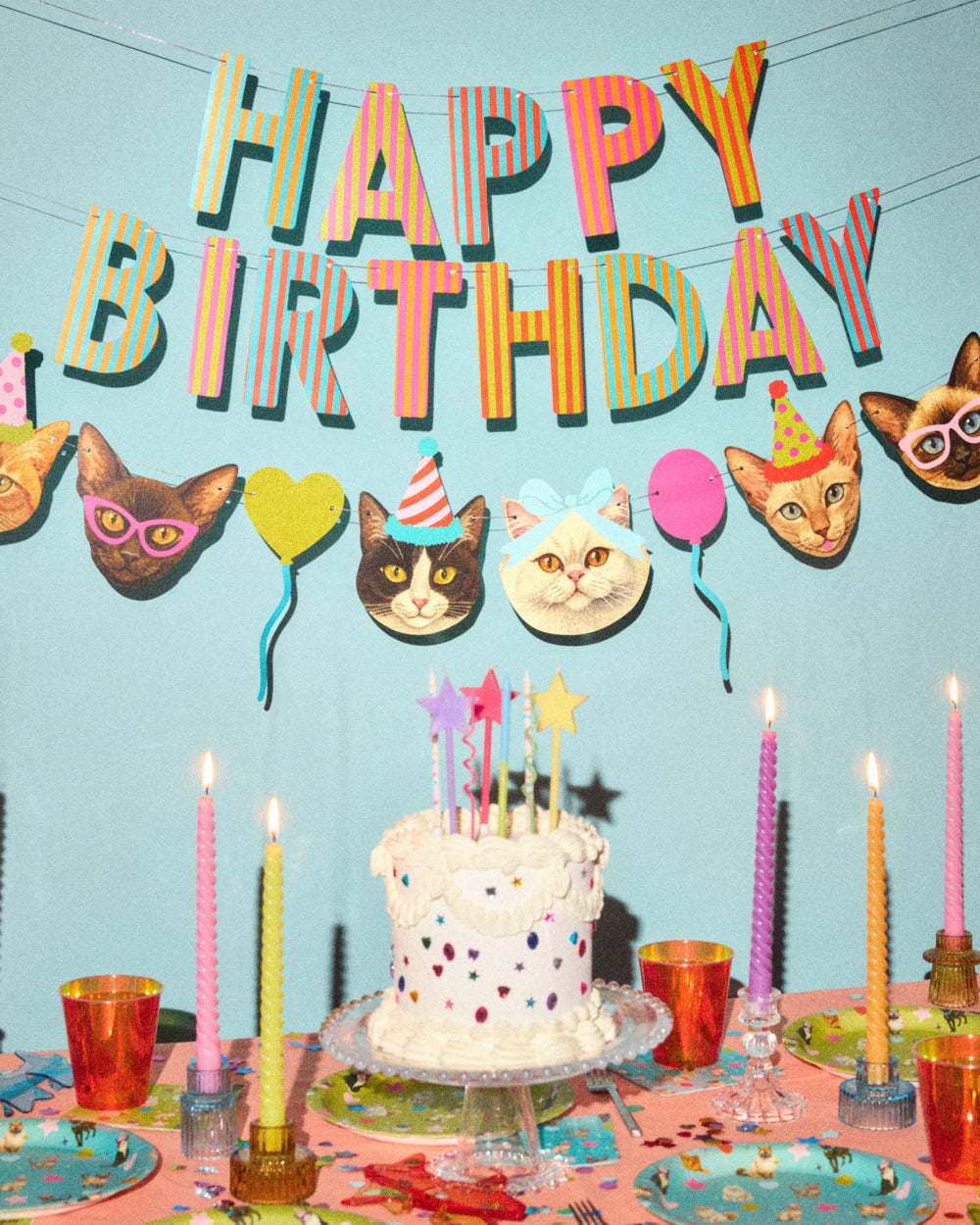 Crazy Cat Banner - really fun party banner