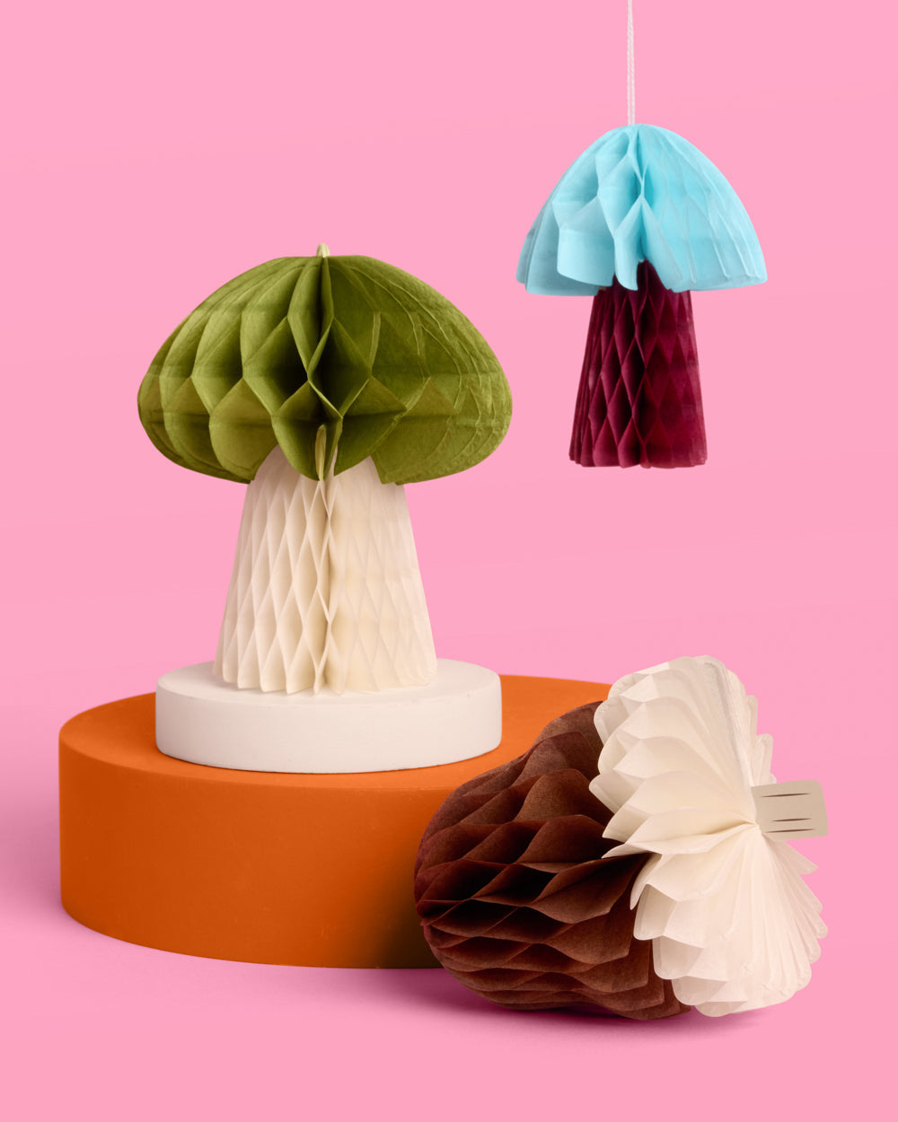 Fall Accordion Set - 6 paper accordions