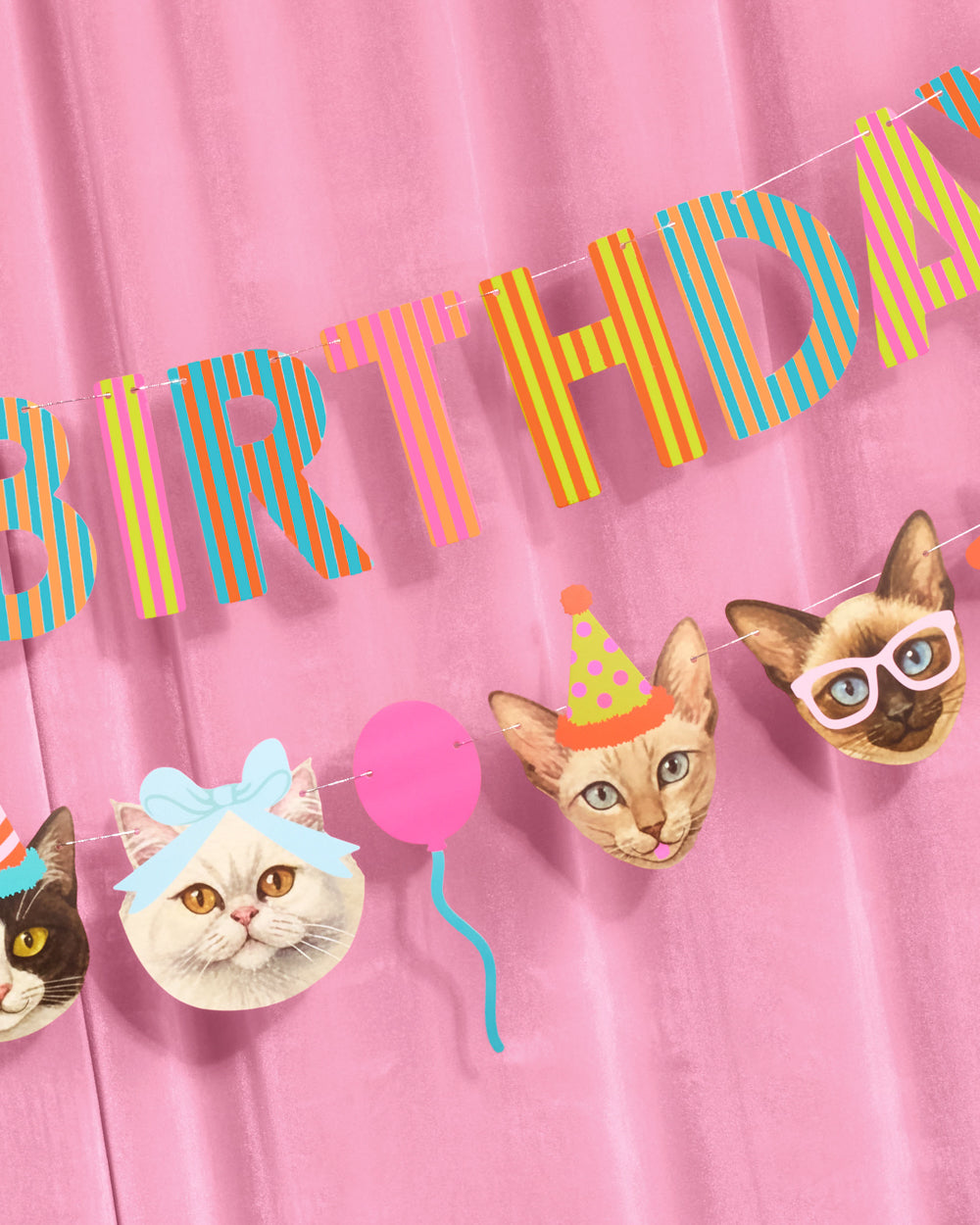 Crazy Cat Banner - really fun party banner