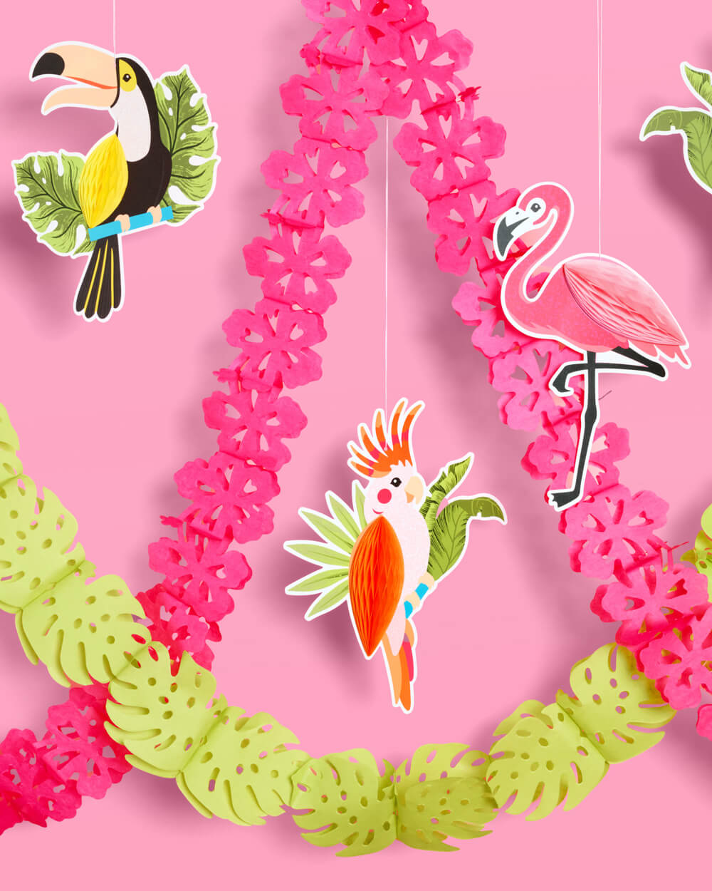 Tropical Accordions - tropical banner