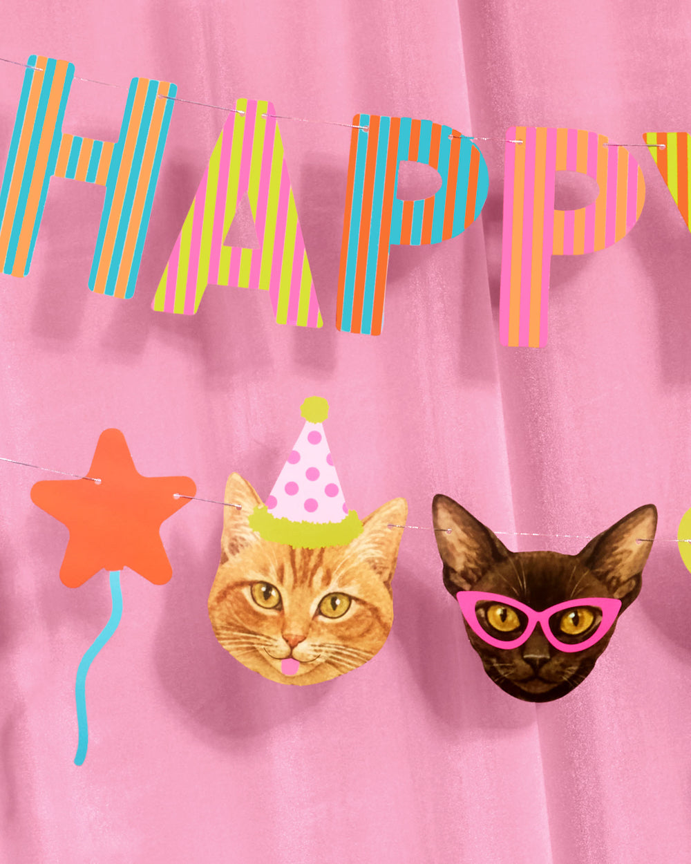 Crazy Cat Banner - really fun party banner