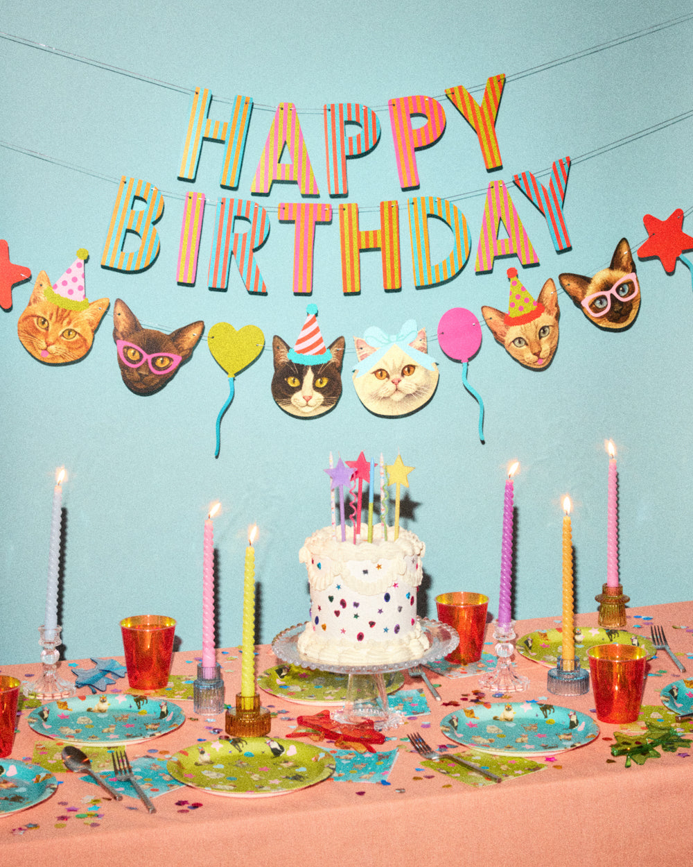 Crazy Cat Banner - really fun party banner