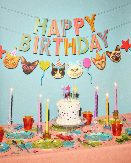 Crazy Cat Banner - really fun party banner