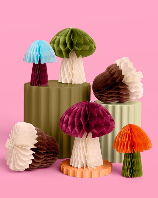 Fall Accordion Set - 6 paper accordions