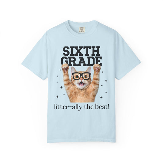 Sixth Grade Teacher Cat Tee