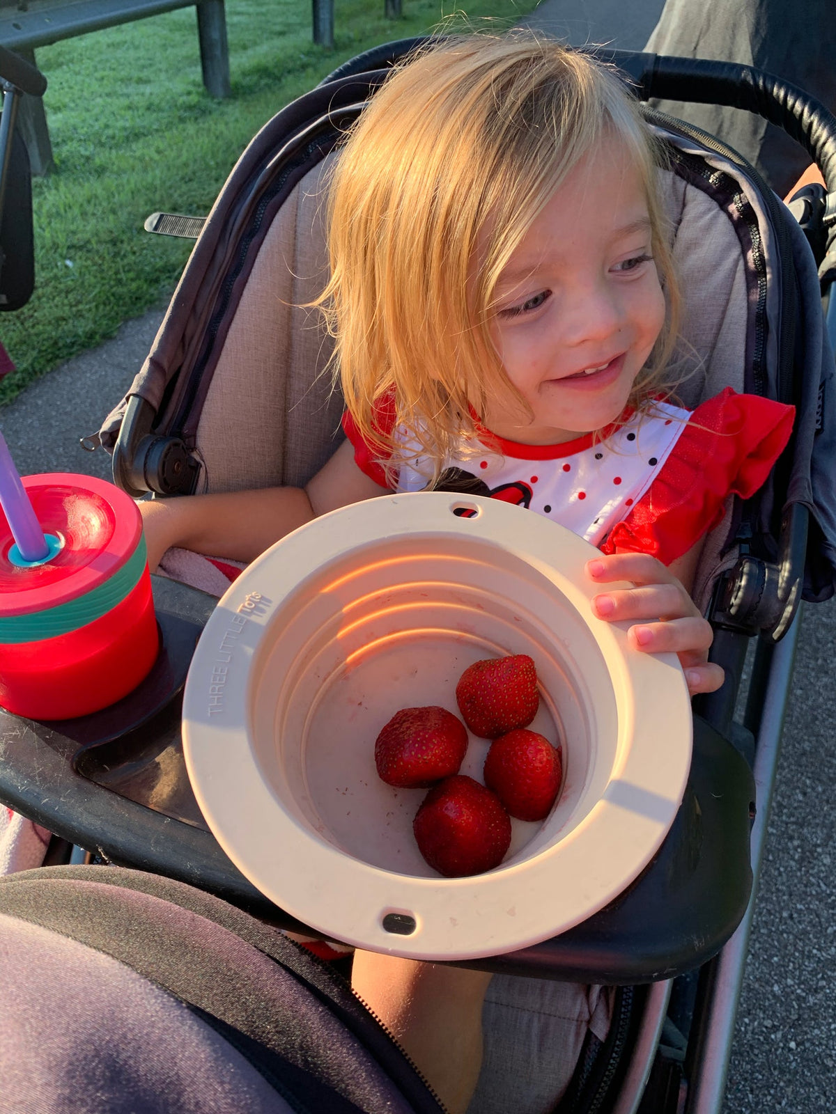 Sugar Cookie Collapsible Bowl for Travel or Home