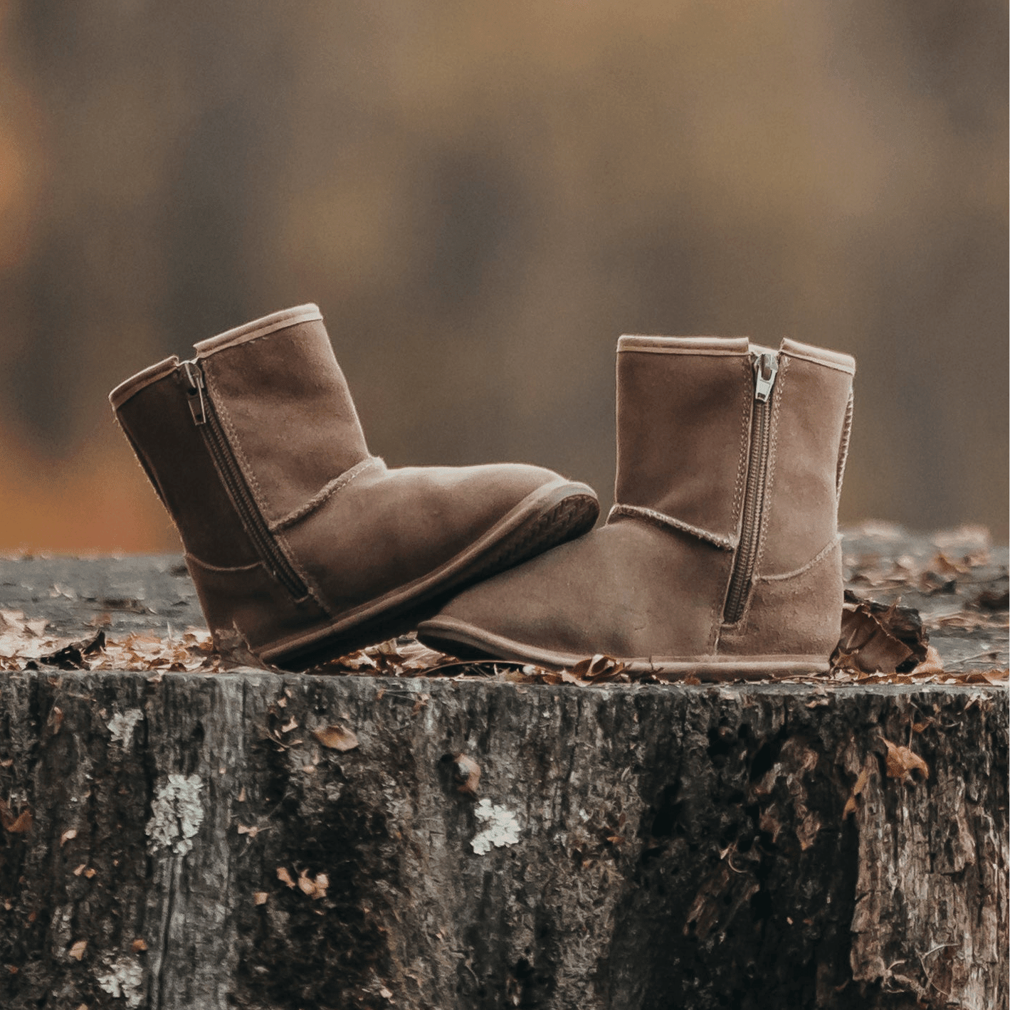 The Winter Boot