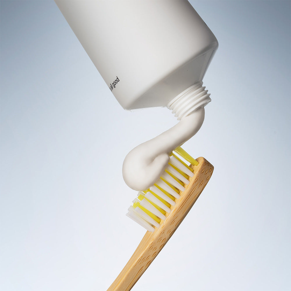 Bamboo Toothbrushes (2 ct)