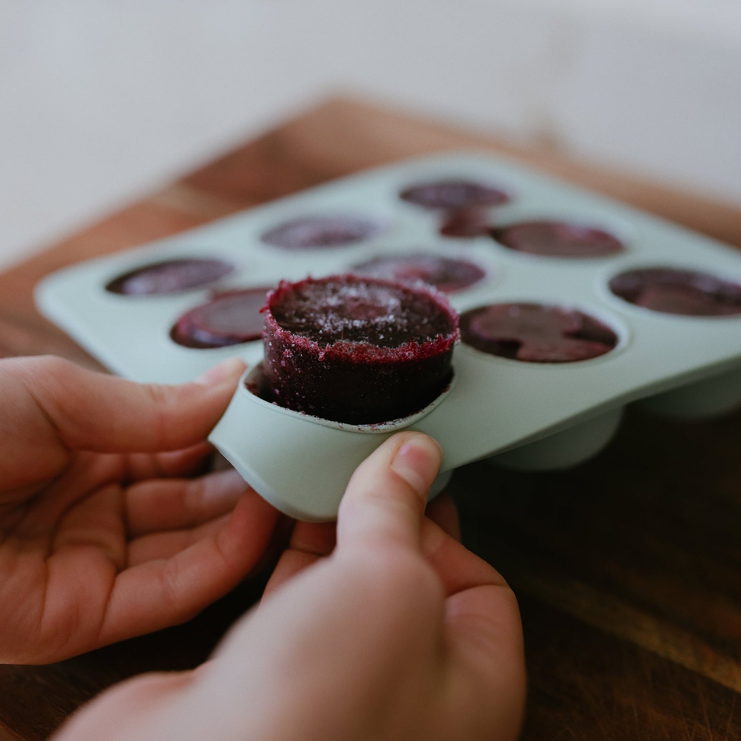 Baby Food Freezer Tray